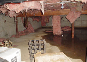 Fiberglass dripping off of the ceilings of a Newark crawl space