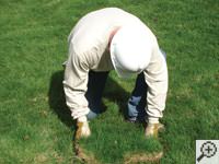 Restoring the landscaping by replacing removed sod on the ground for a Hilliard home.