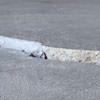 Slab floor cracks showing in a Pataskala home