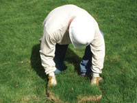 Restoring the landscaping by replacing removed lawn sections for a Marysville home.
