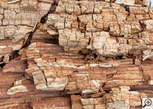 Dry rot damage on wood in Blacklick