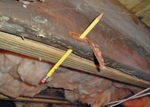 Destroyed crawl space structural wood in Portsmouth