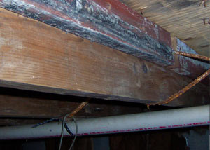 Rotting, decaying wood from mold damage in Washington Court House