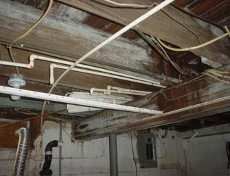 a humid basement overgrown with mold and rot in Lewis Center