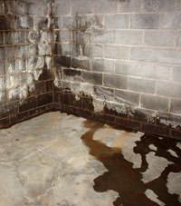 Water seeping through a concrete wall in a Portsmouth basement