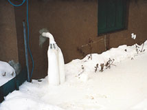 IceGuard® Installed Dublin